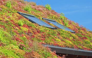 Unthank living roof systems